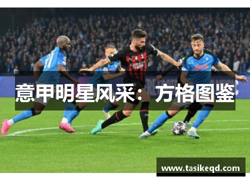 意甲明星风采：方格图鉴